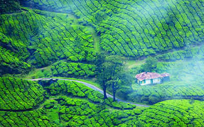 Munnar